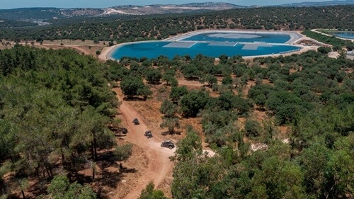 ריינג'רים אחוזת ציפורי