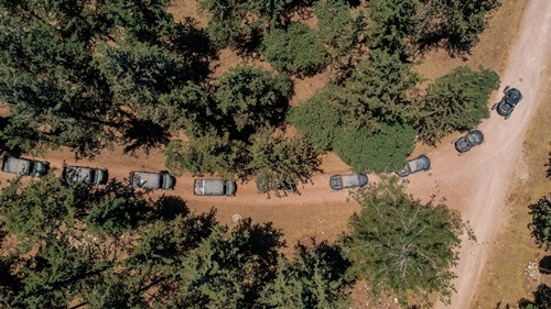 ריינג'רים אחוזת ציפורי