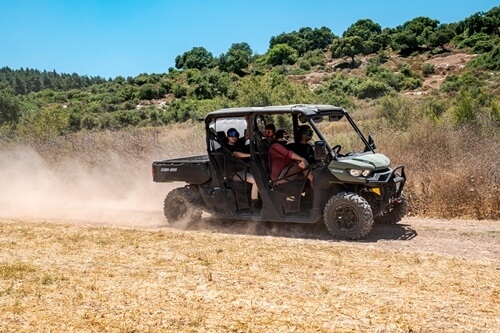 ריינג'רים אחוזת ציפורי