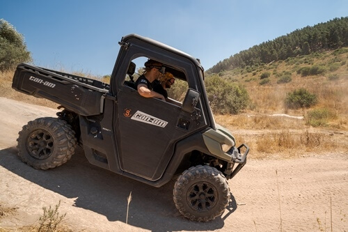 ריינג'רים אחוזת ציפורי