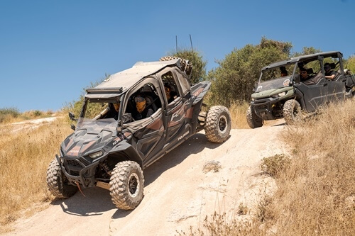 ריינג'רים אחוזת ציפורי