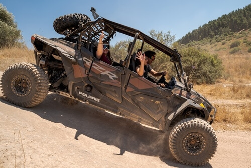 ריינג'רים אחוזת ציפורי