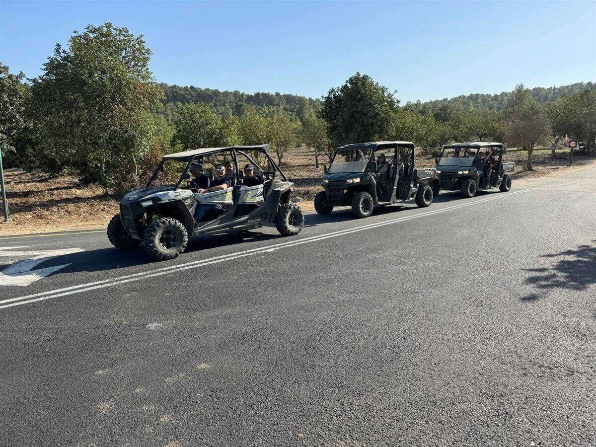 רייזרים בהר