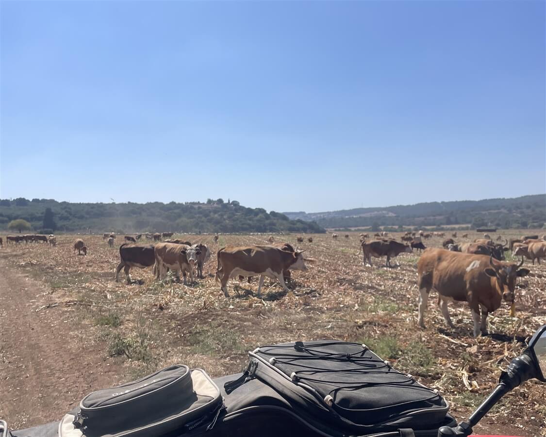 טיולי טרקטרונים שבילי הנחל