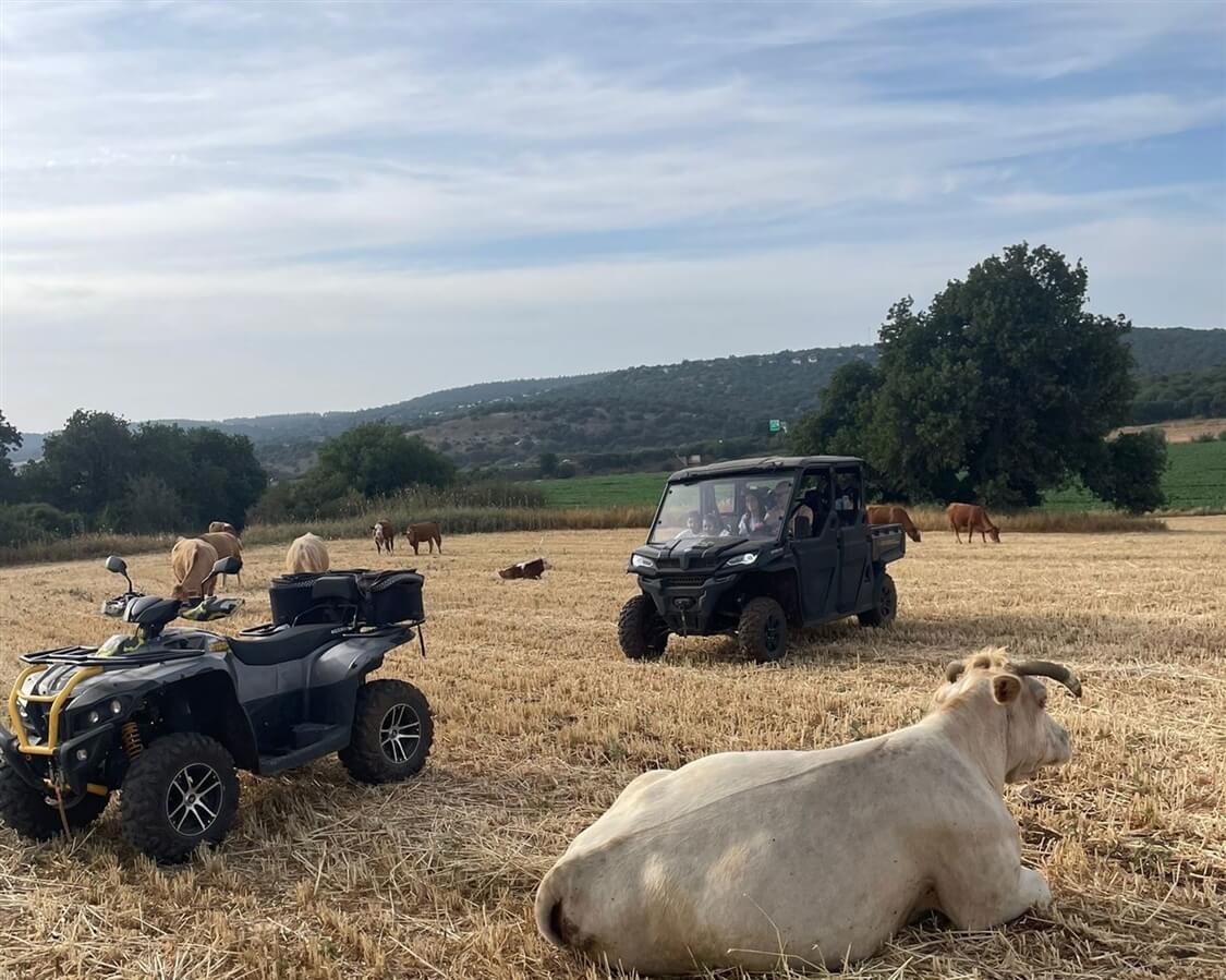 טיולי טרקטרונים שבילי הנחל