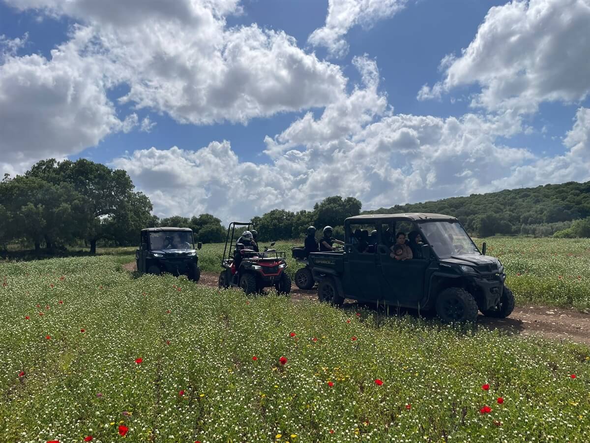 טיולי טרקטרונים שבילי הנחל