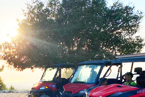 ריינג'רים בכפר