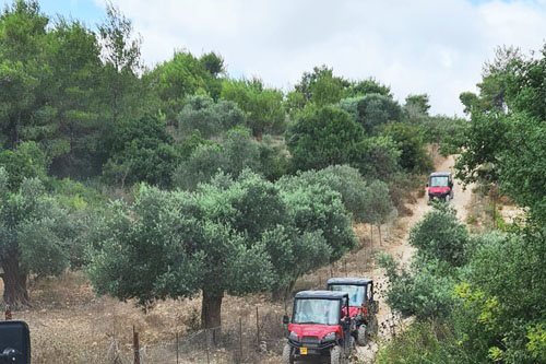 ריינג'רים בכפר