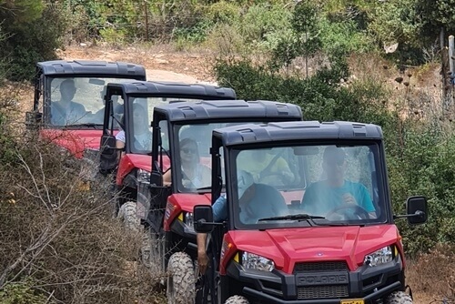 ריינג'רים בכפר