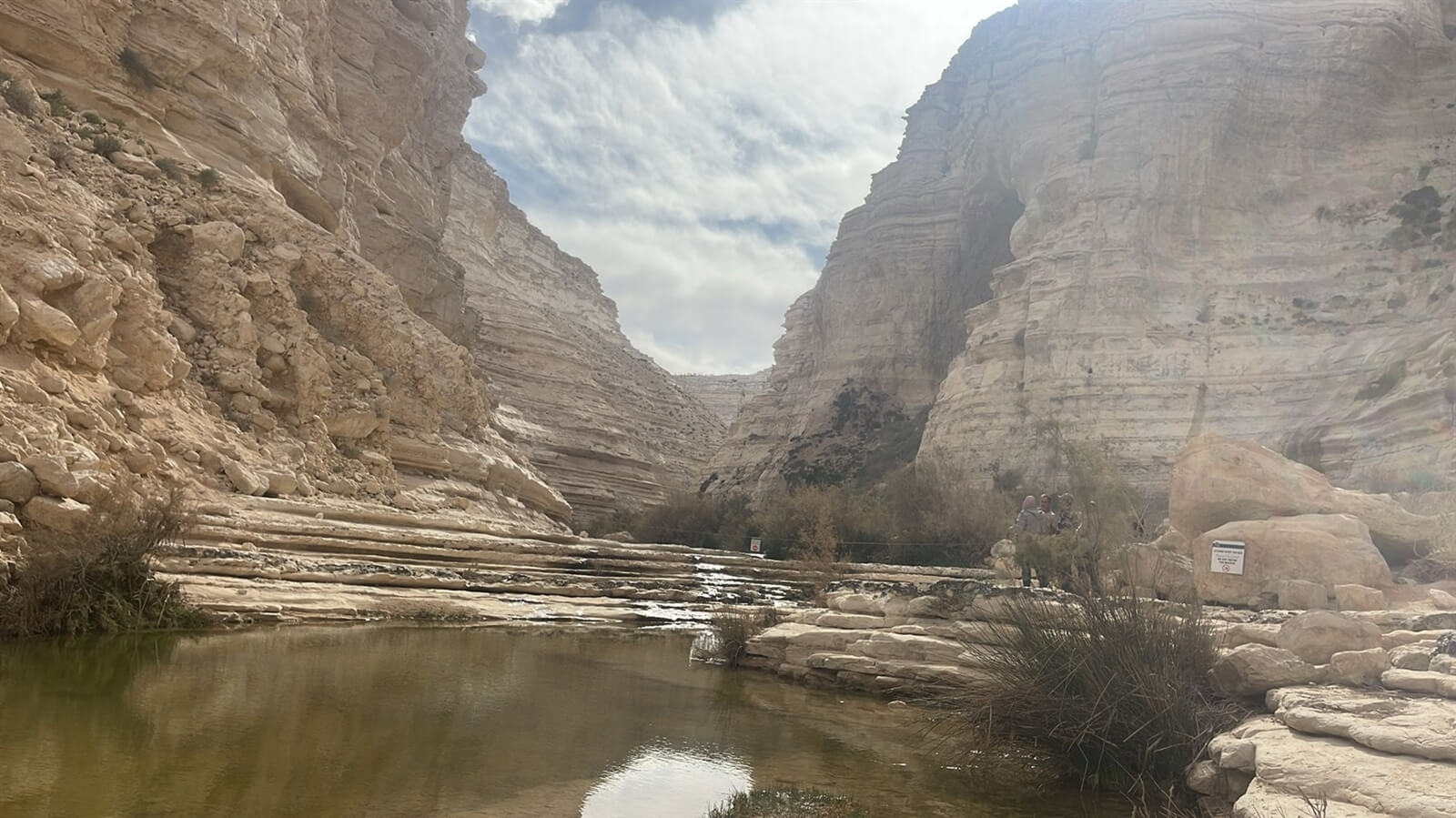 ספארי טורס טיולי ג'יפים
