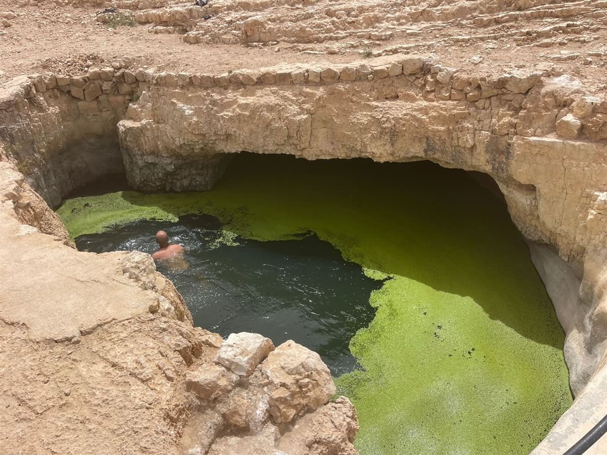 ספארי טורס טיולי ג'יפים