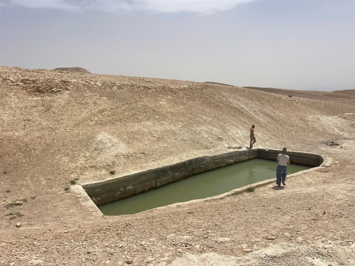 ספארי טורס טיולי ג'יפים