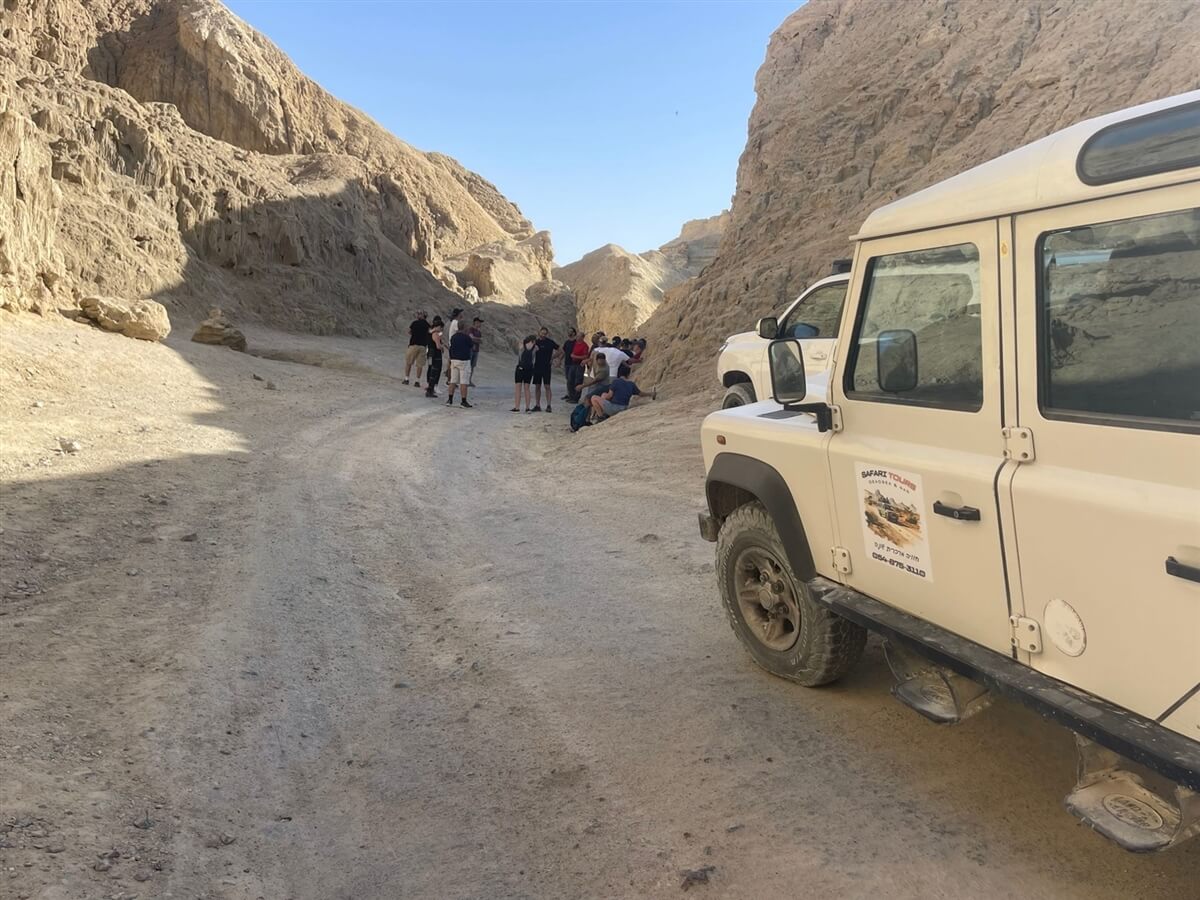 ספארי טורס טיולי ג'יפים