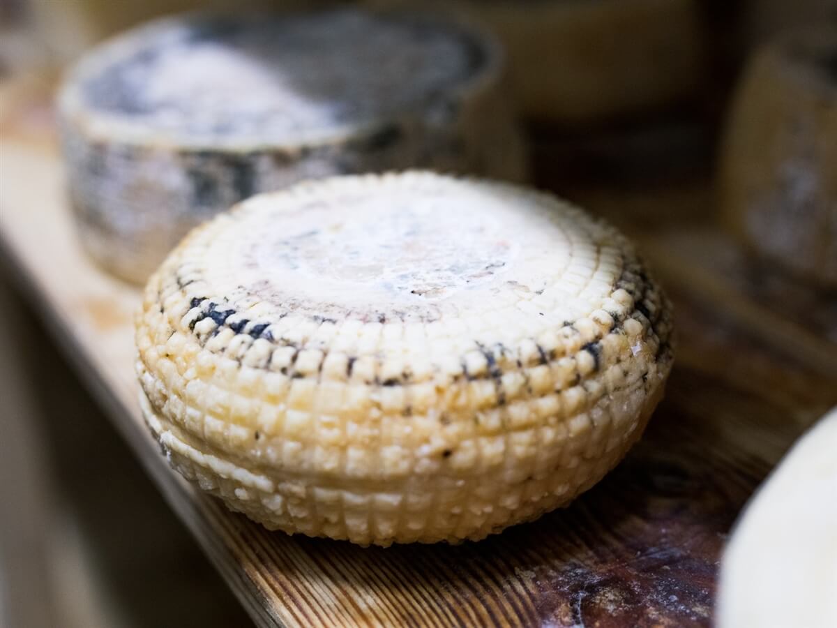 מחלבת נטור מסעדה כפרית