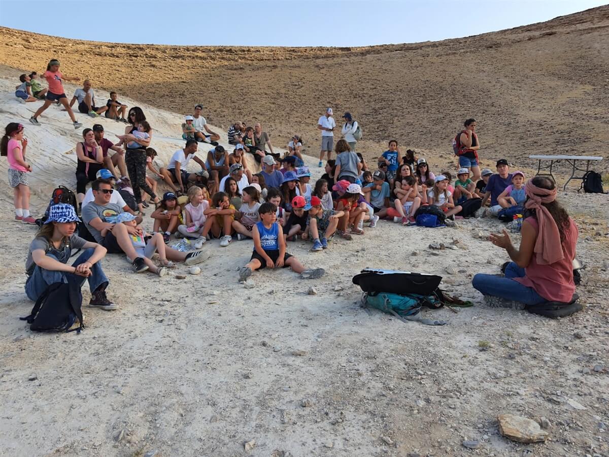 ציפור מדבר טיולים וסיורים