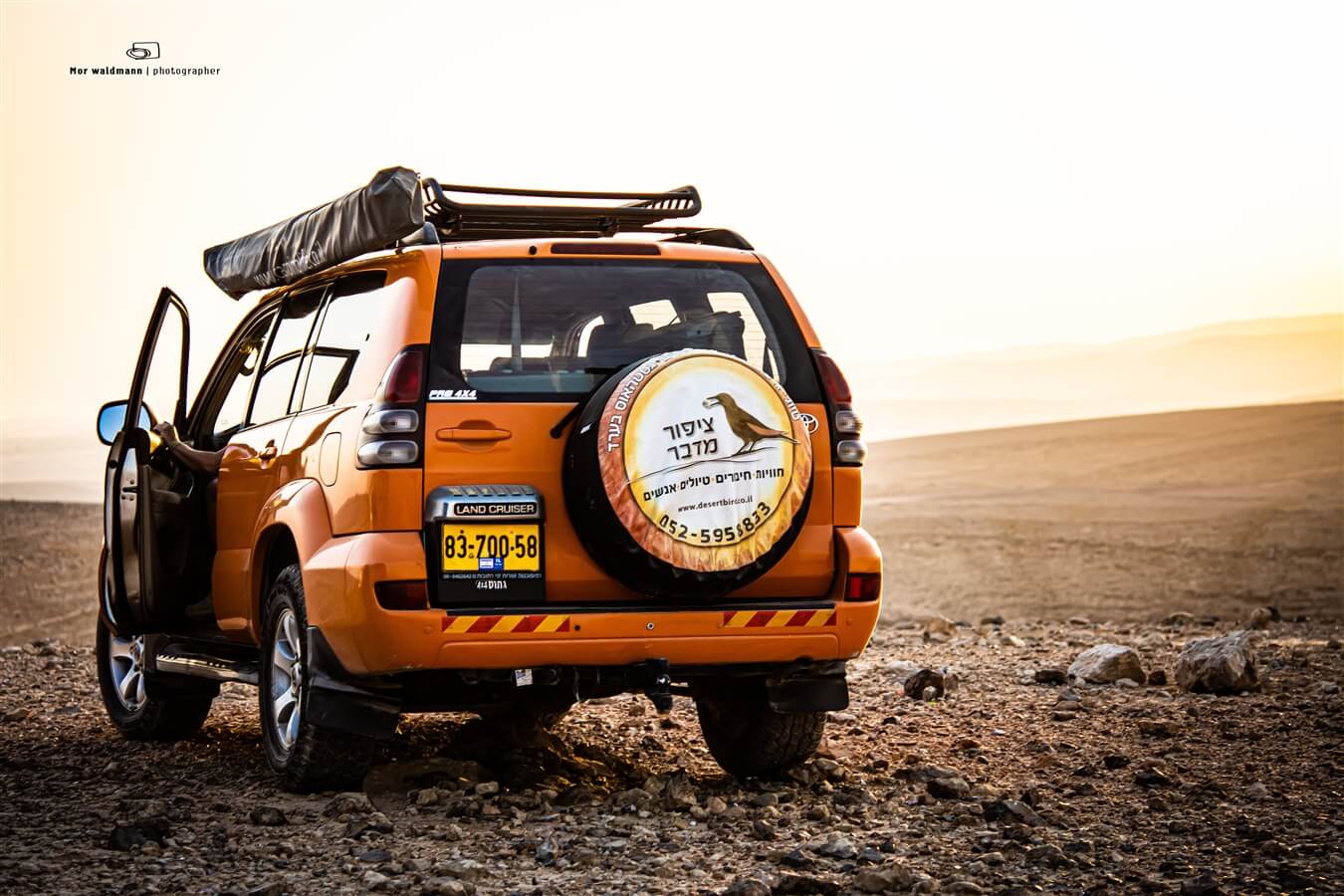 ציפור מדבר טיולים וסיורים