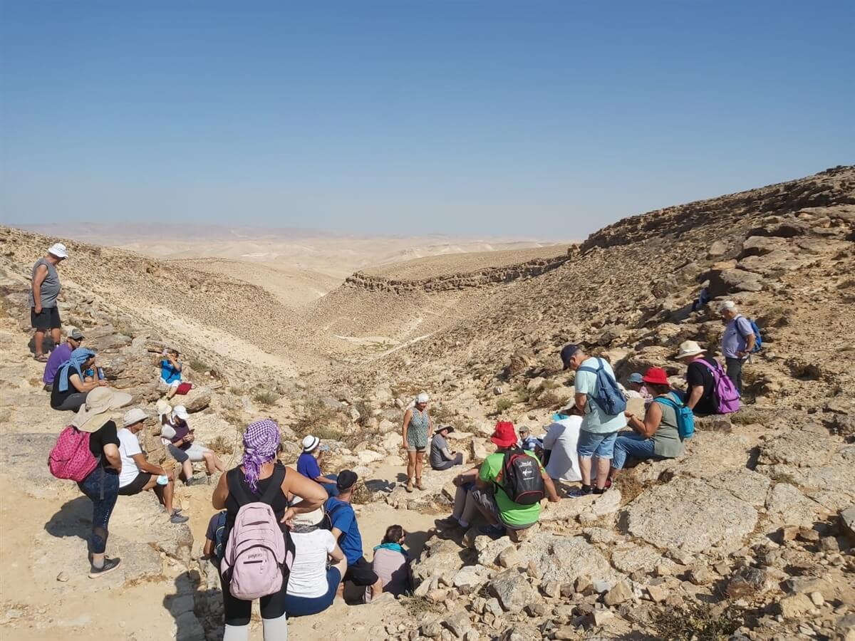 ציפור מדבר טיולים וסיורים