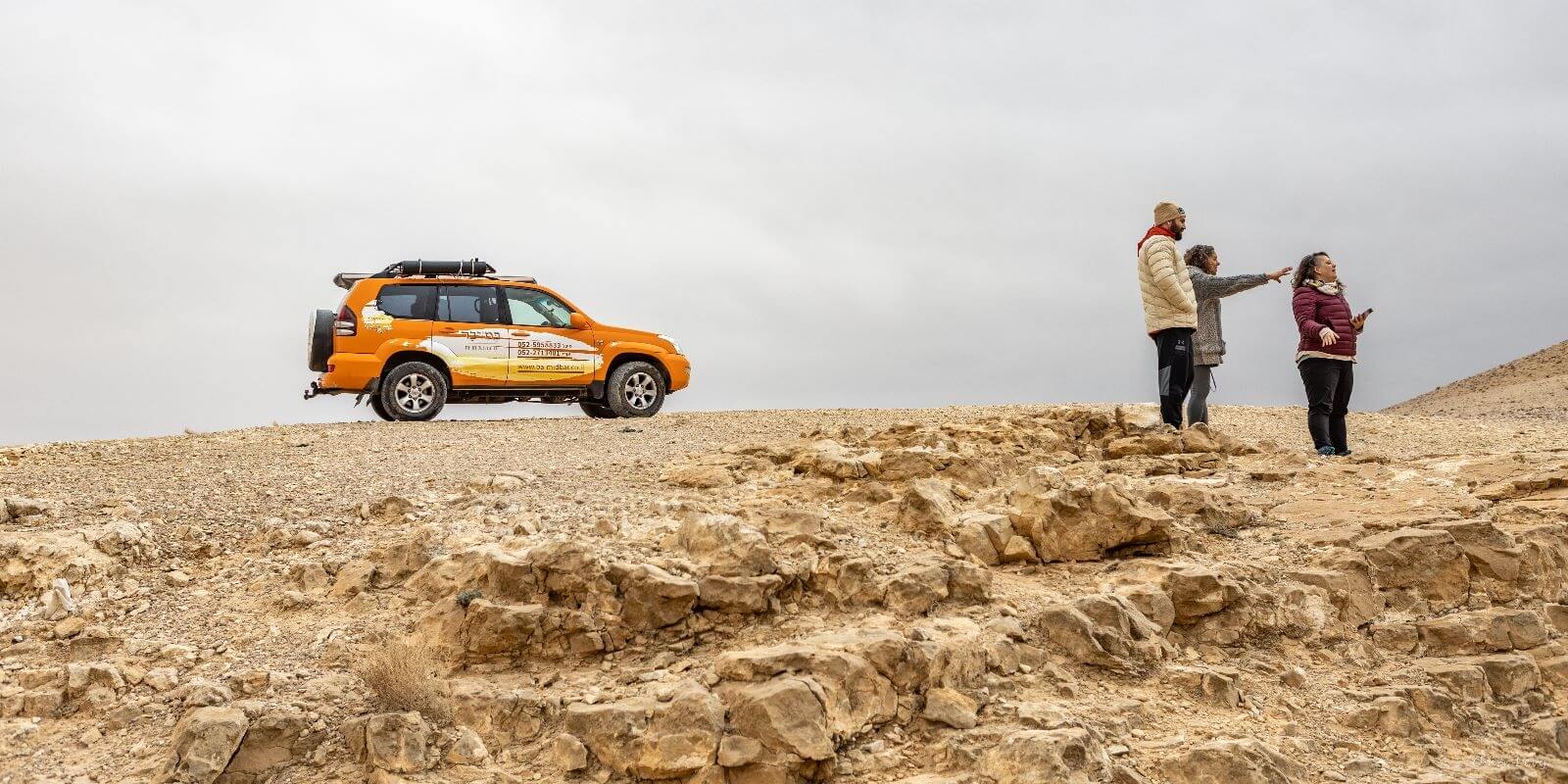 ציפור מדבר טיולים וסיורים