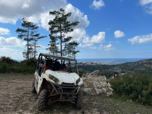 רייזרים הכרמל