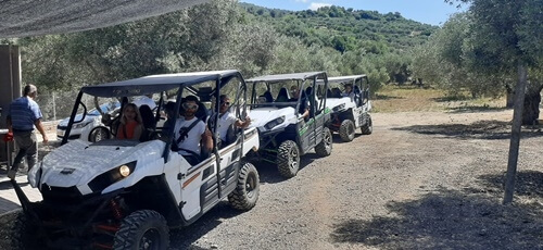 רייזרים הכרמל