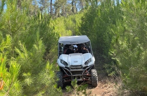 רייזרים הכרמל