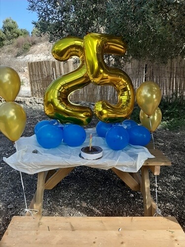 רייזרים הכרמל