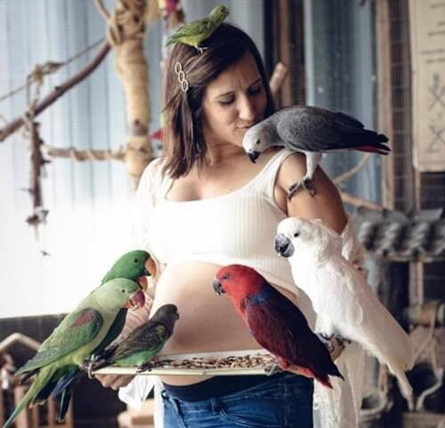 כפר הארנבונים חוות נגר