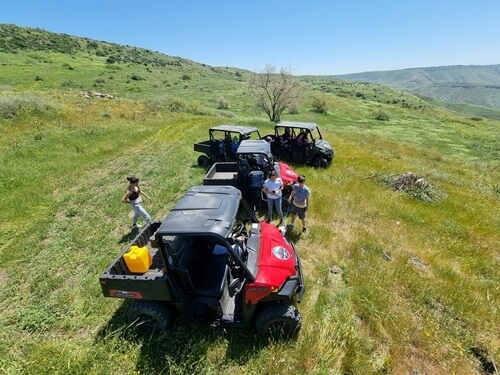 גו גולן - Go Golan