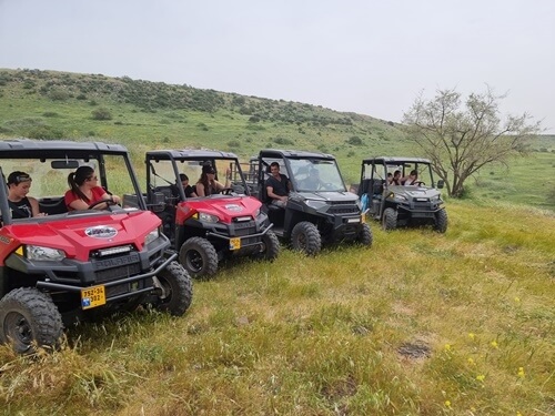 גו גולן - Go Golan