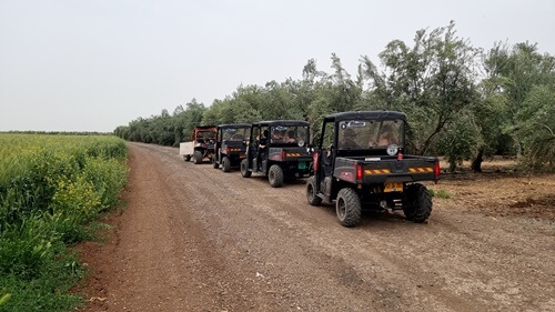 גו גולן - Go Golan