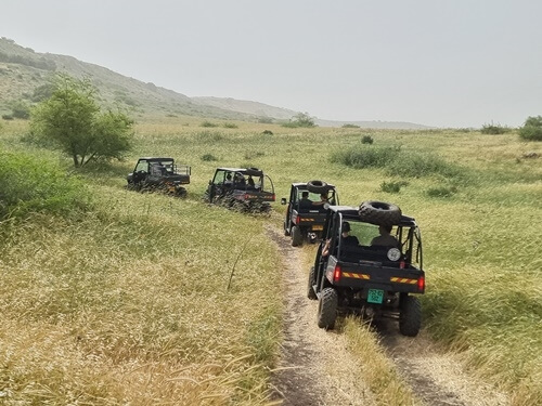 גו גולן - Go Golan