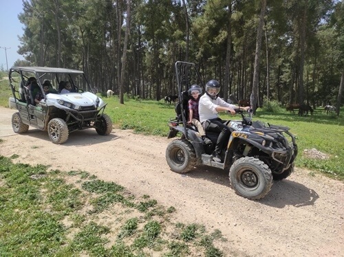 טרקטורוני צפת