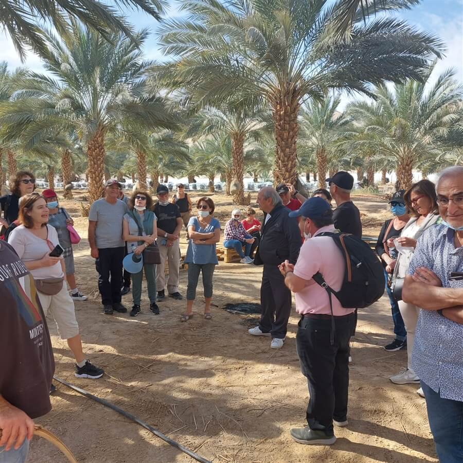 התמרים של שושני