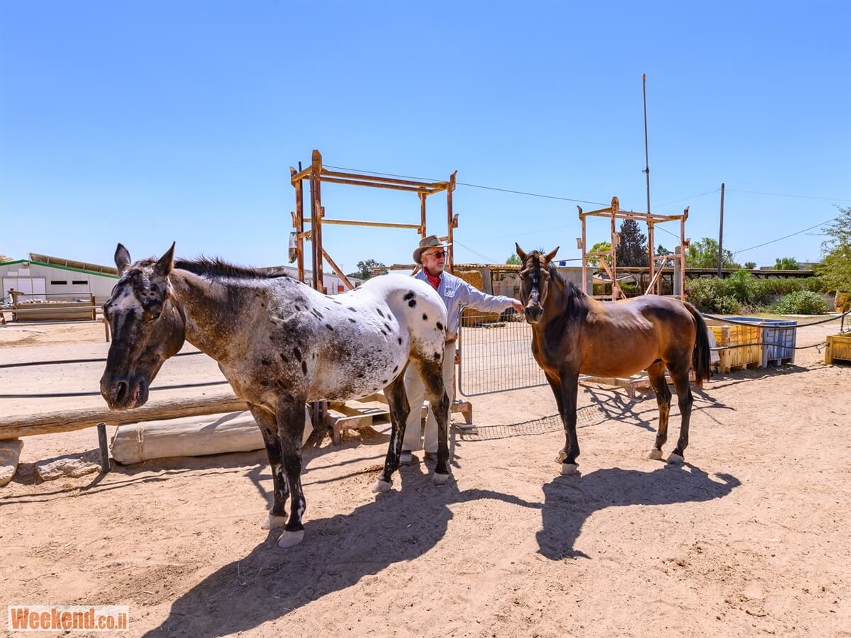 מן המדבר טיולי ג'יפים