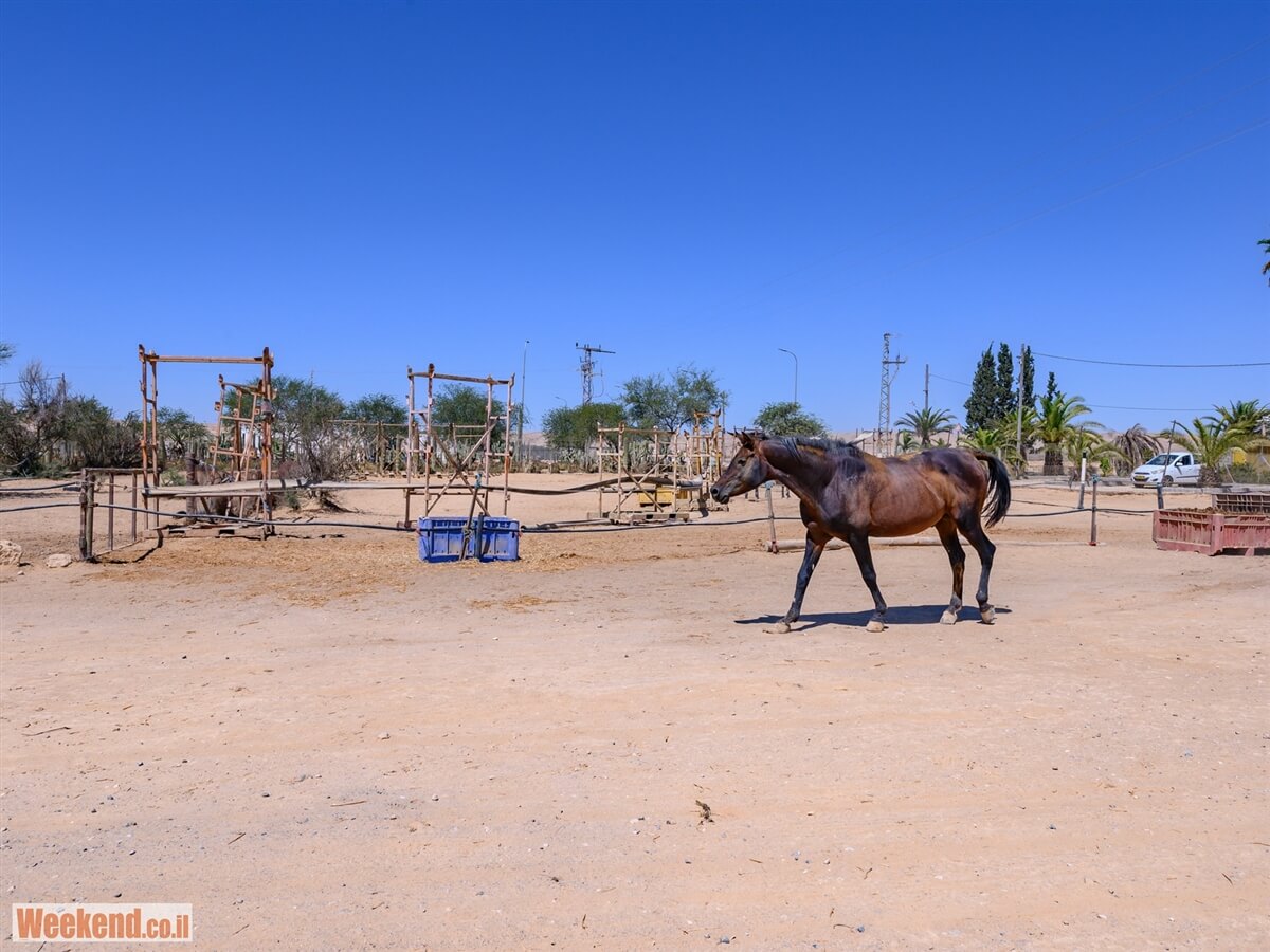מן המדבר טיולי ג'יפים