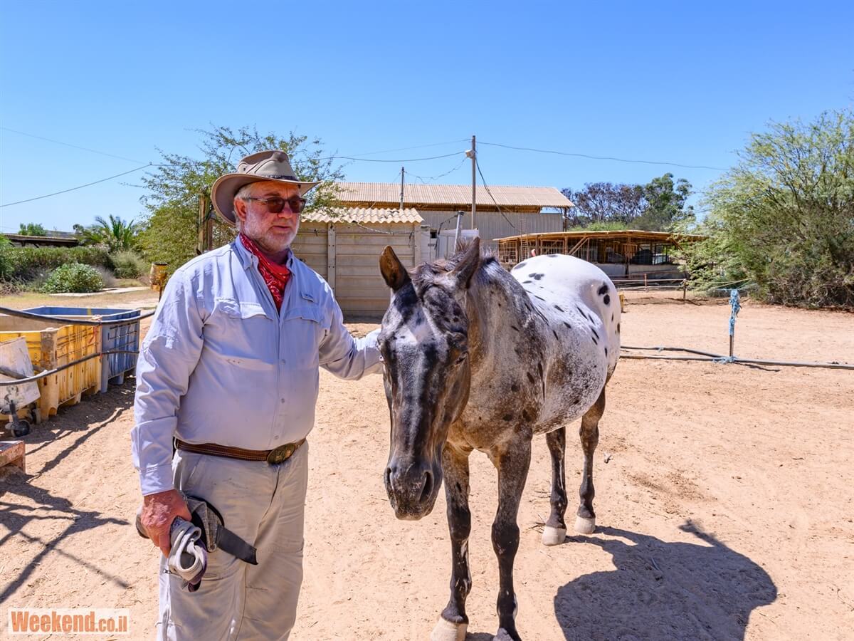 מן המדבר טיולי ג'יפים