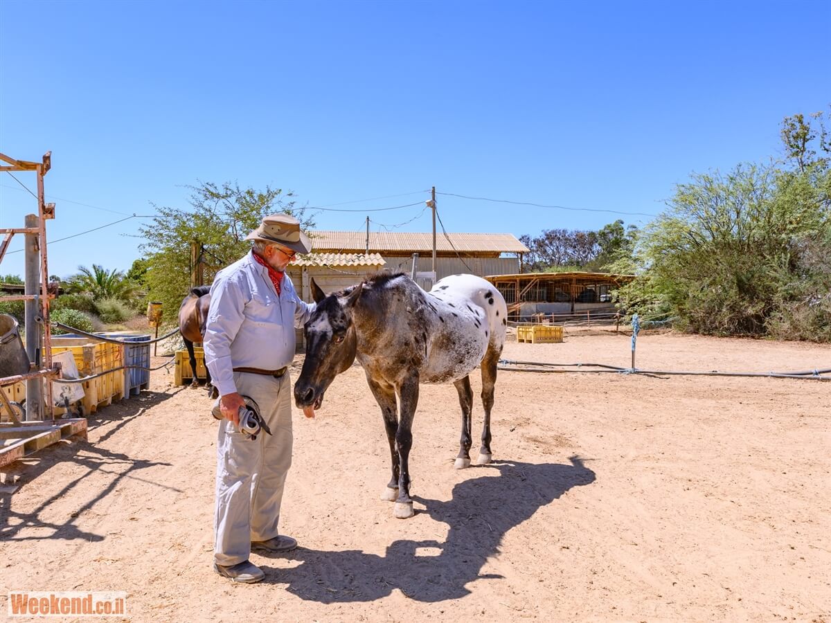 מן המדבר טיולי ג'יפים