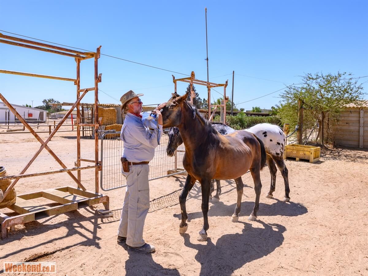 מן המדבר טיולי ג'יפים
