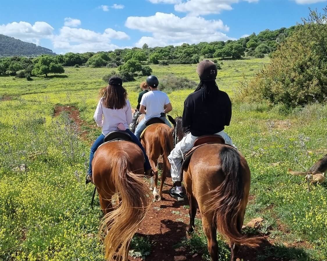 חוות יער בית קשת