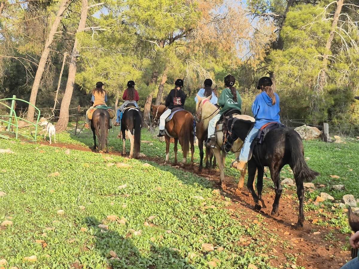 חוות יער בית קשת