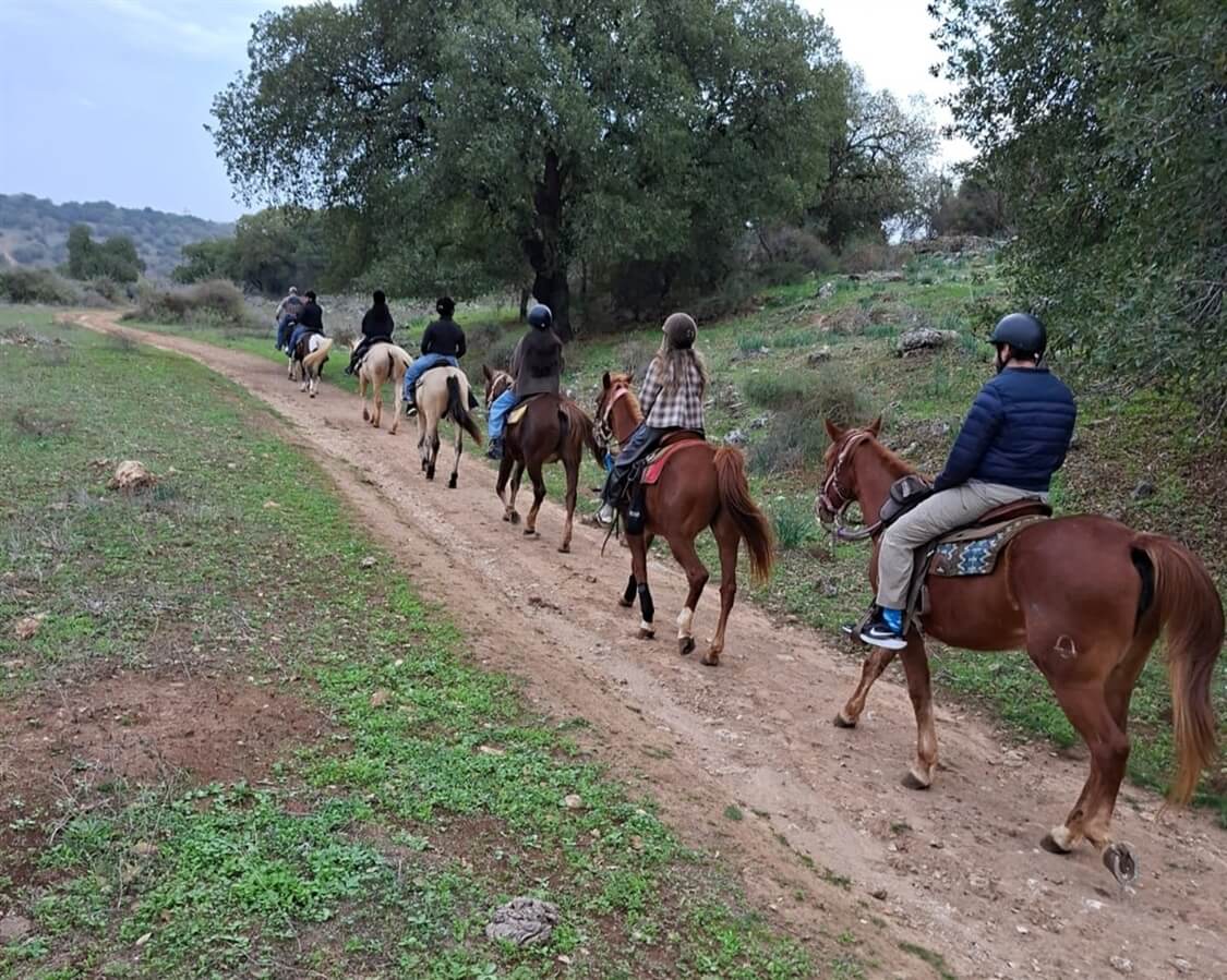 חוות יער בית קשת