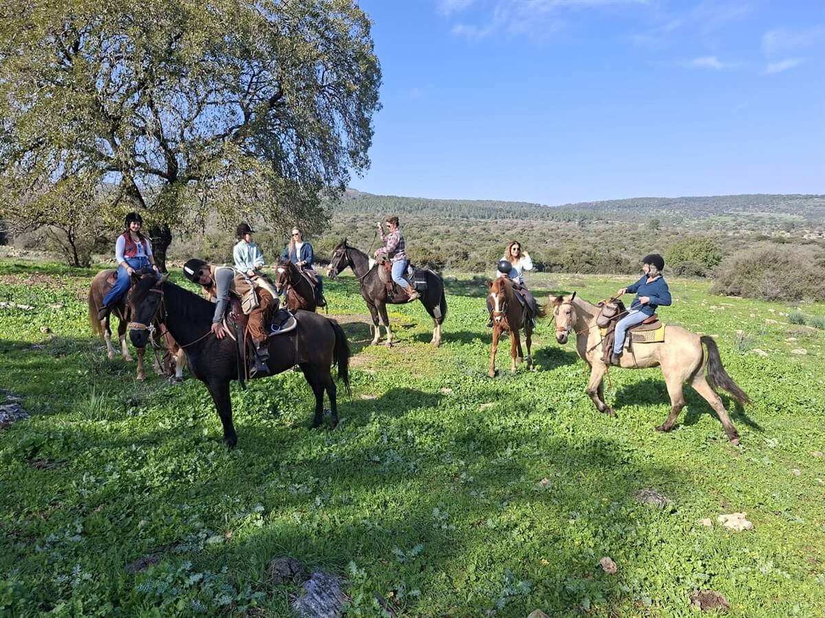 חוות יער בית קשת