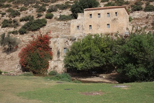 רייזרים ואקסטרים נחל ציפורי