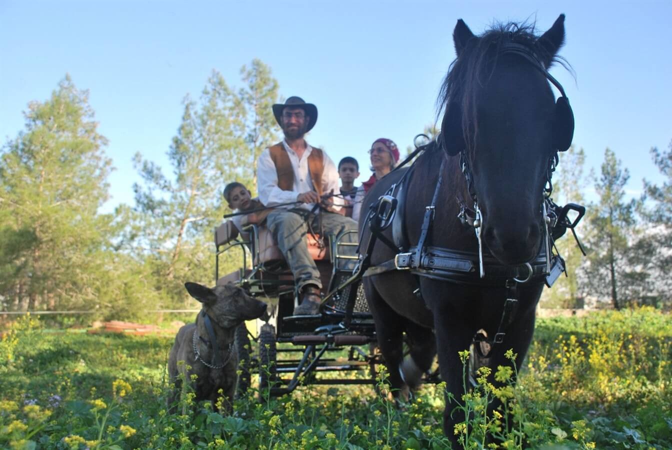 מרכבות הבשן