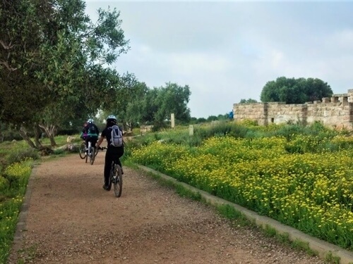 הנדיב על גלגלים - חוויית שטח