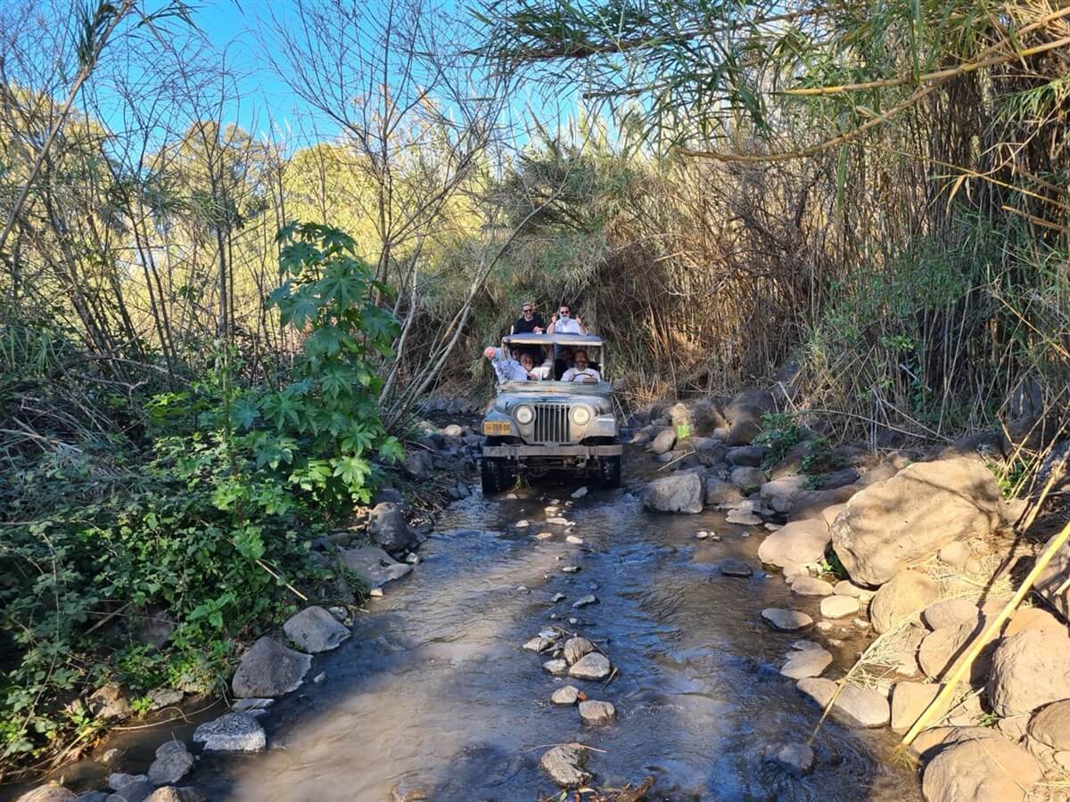 וספי אדרנלין בגליל