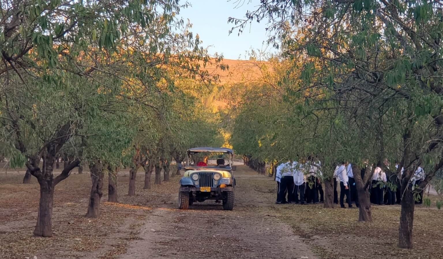 וספי אדרנלין בגליל