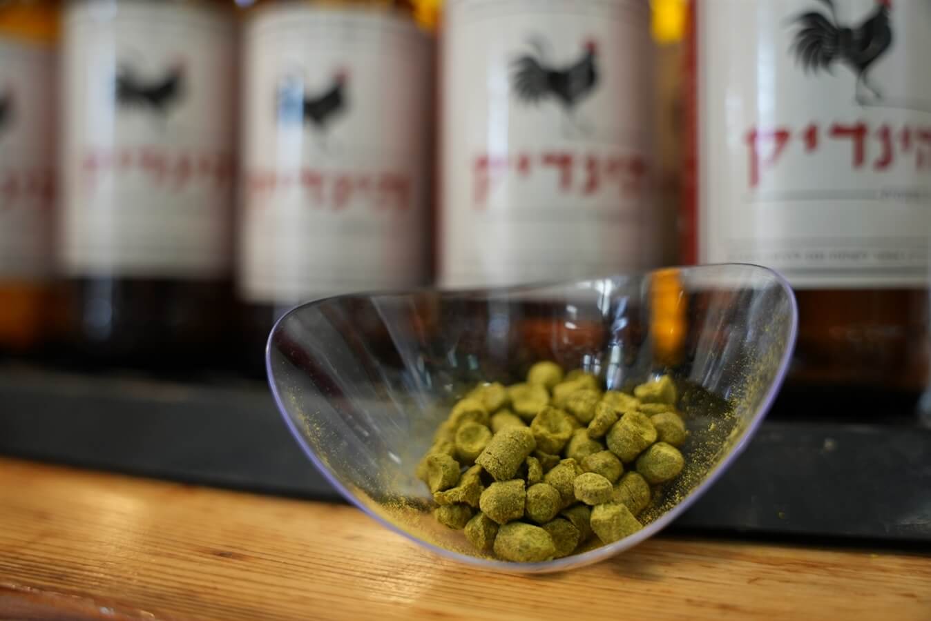 סדנאות בירה בוטיק - הינדיק