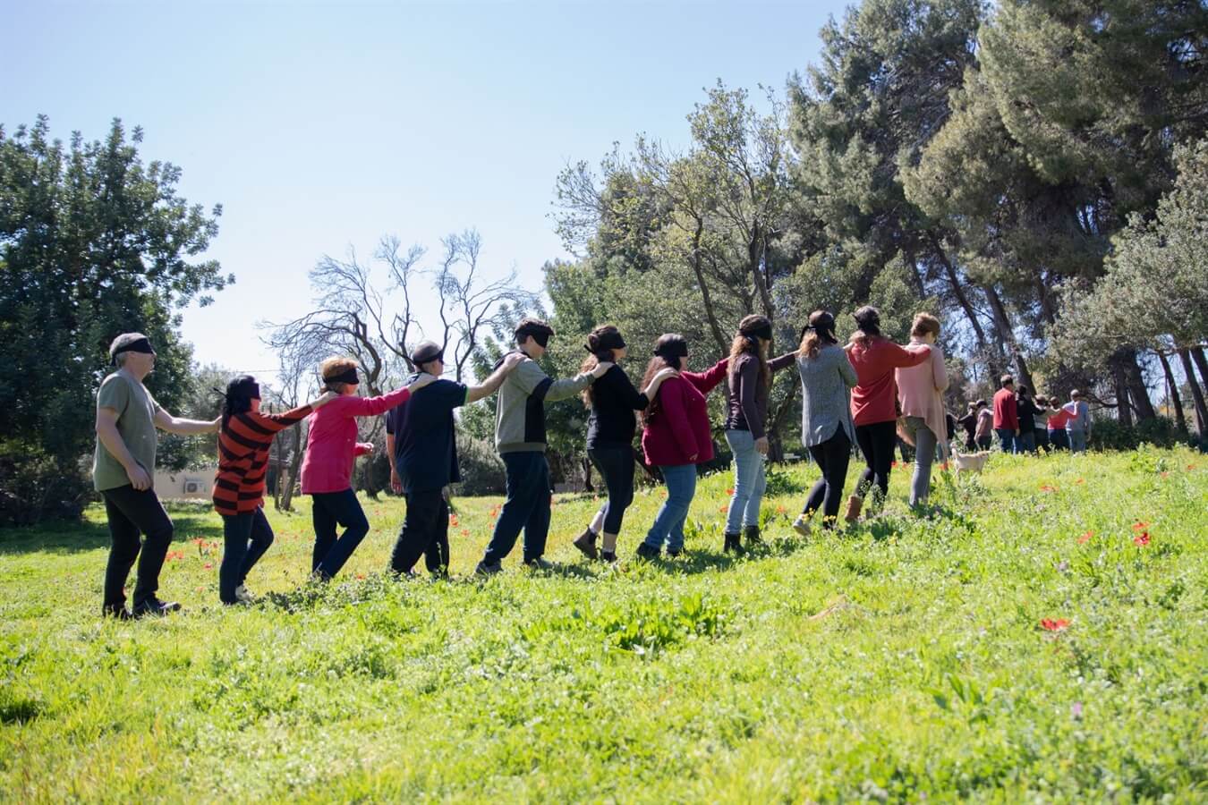 חווית החושים Free Feel