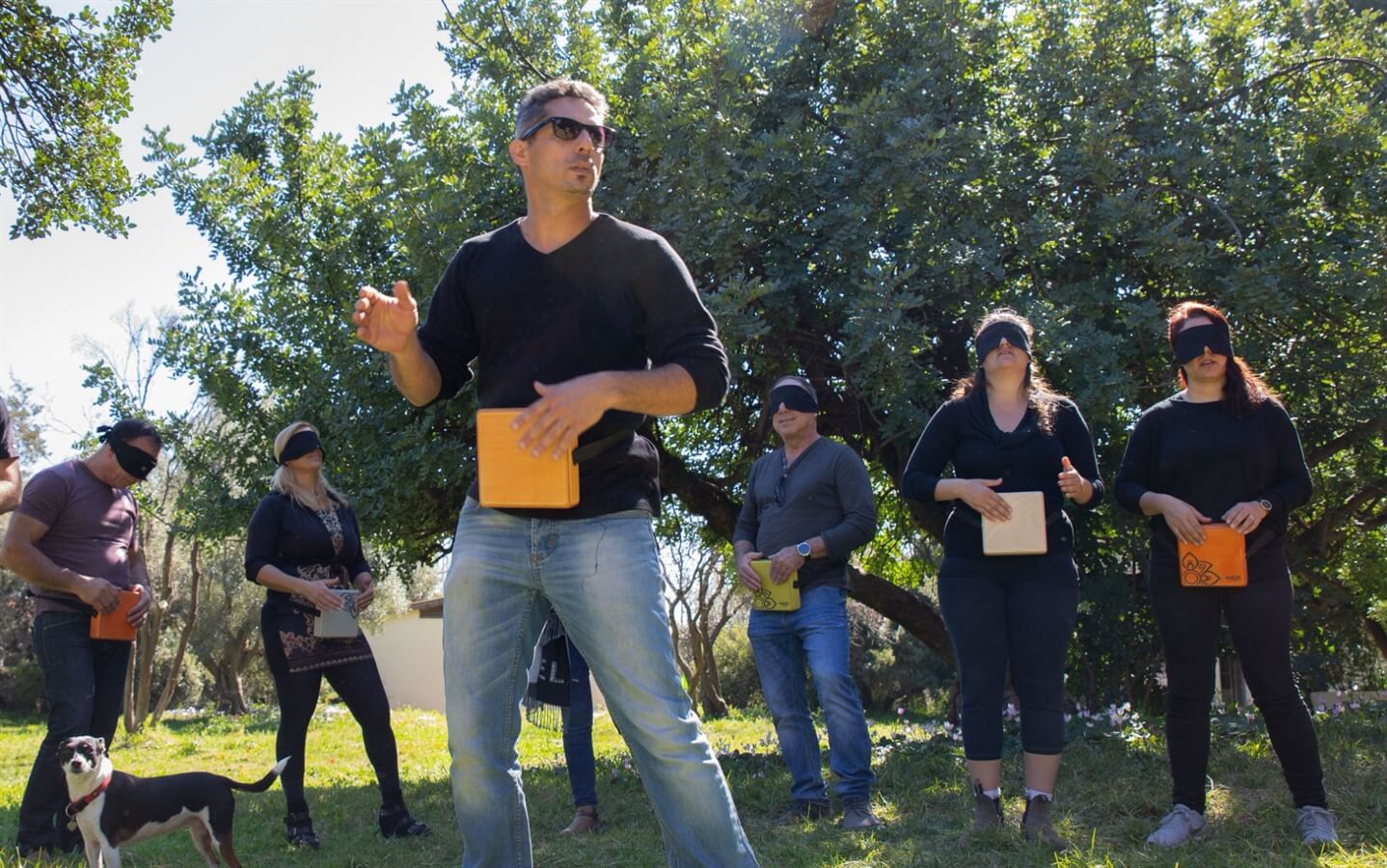 חווית החושים Free Feel